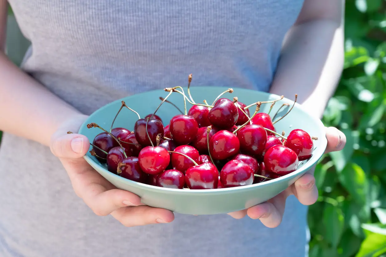 Cherry Health Benefits, Nutrition And How To Eat