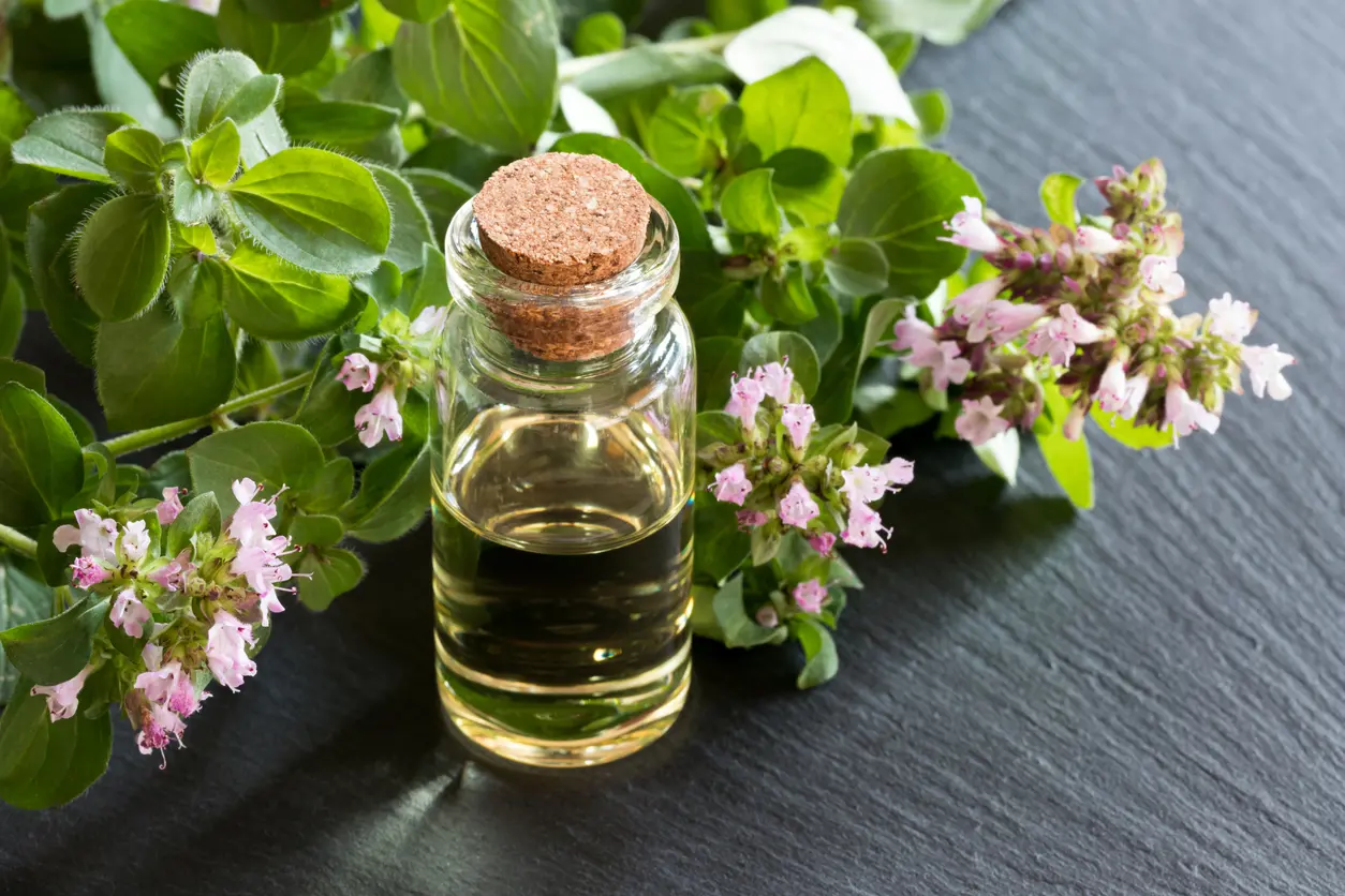 Why Oregano Oil Is Essential for Your Health: Benefits and Expert Tips