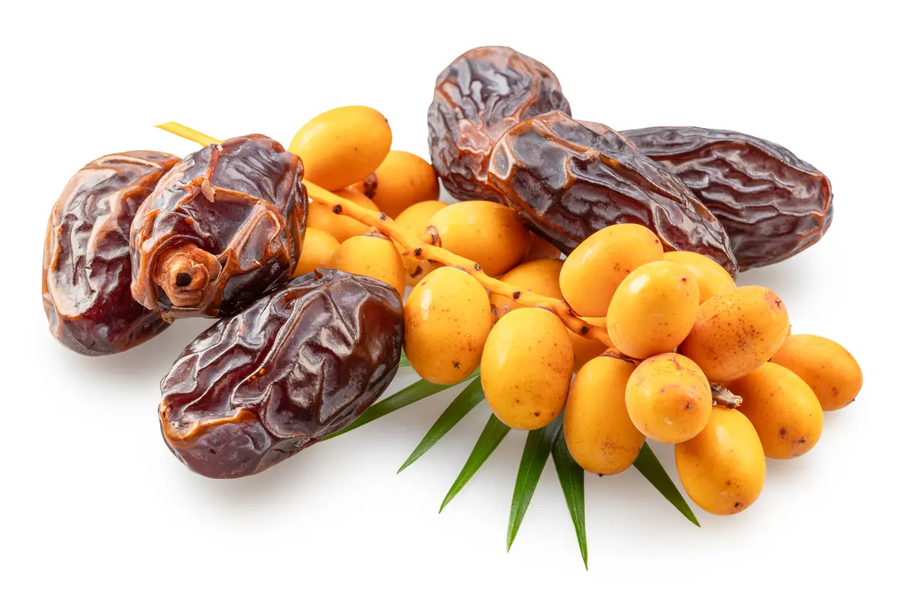 Dates Benefits, Nutrition, and Best Ways to Eat Them