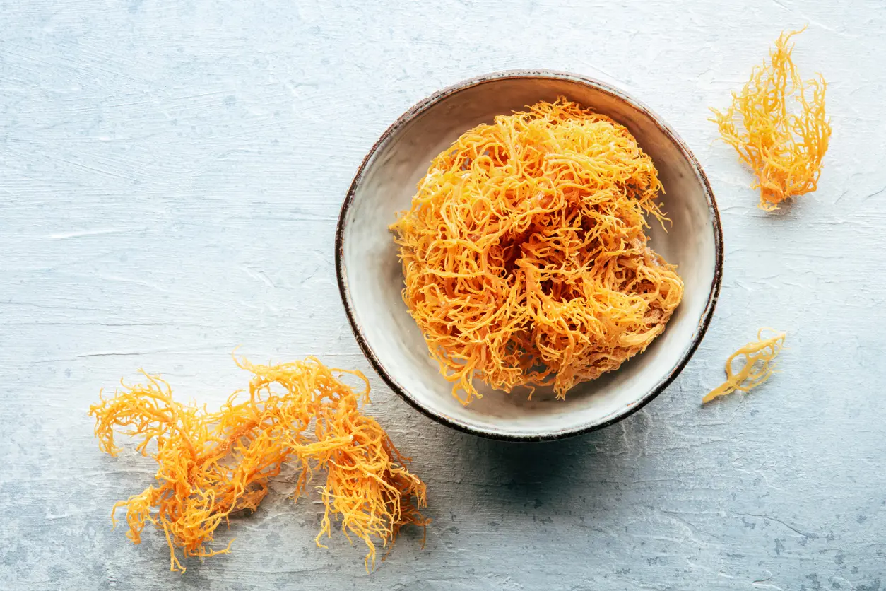 Sea Moss Benefits: Nutrition Facts And Best Ways to Eat It