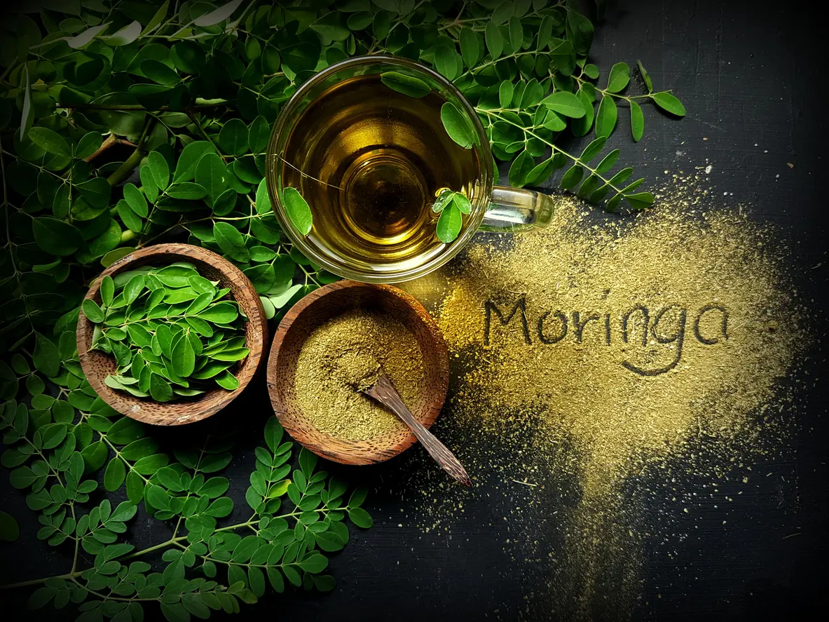 Moringa Benefits, Uses, and Nutrition Explained