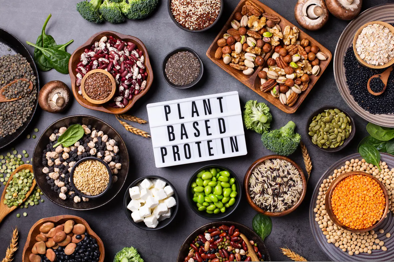 Plant-Based High Protein Foods for Vegans and Vegetarians