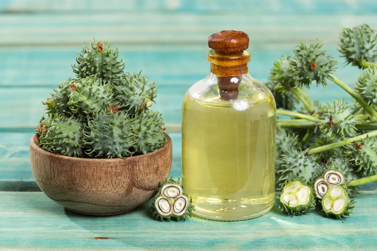 Castor Oil Uses, Benefits, and Safety Tips