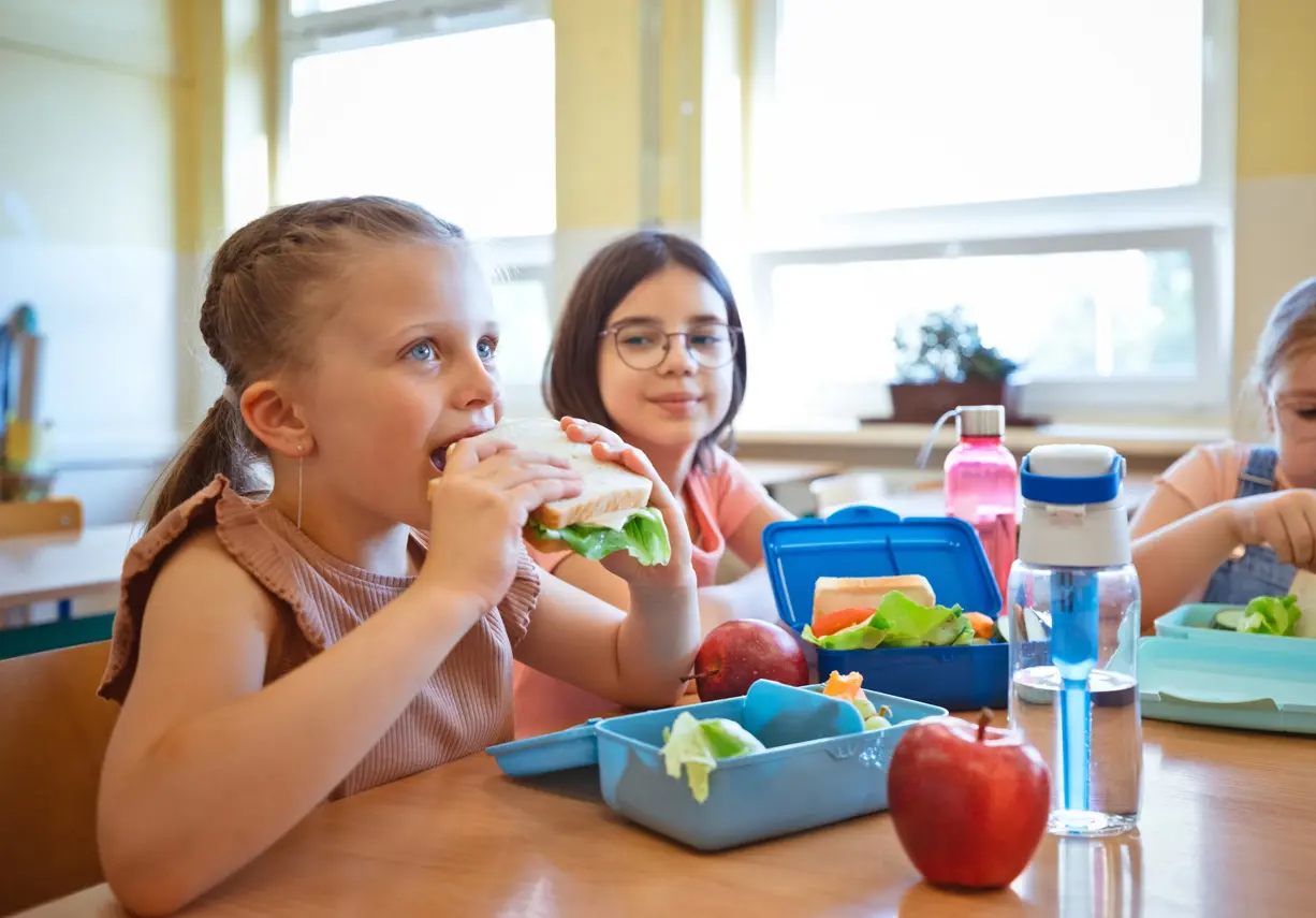 Easy-to-Pack and Nutritious School Lunch Ideas