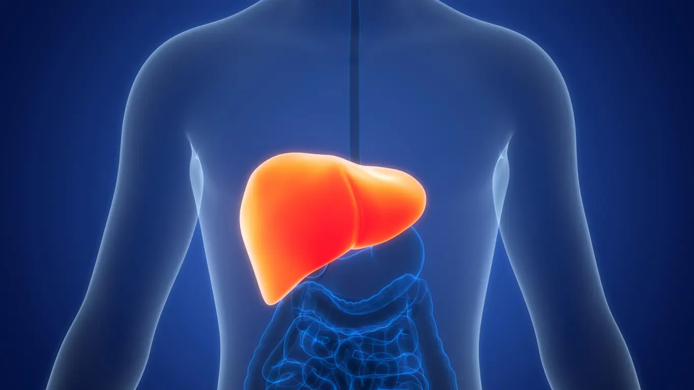 What to Eat and What to Avoid on a Fatty Liver Diet